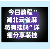 今日教程“湖北云雀麻将有挂吗”详细分享装挂步骤-第3张图片