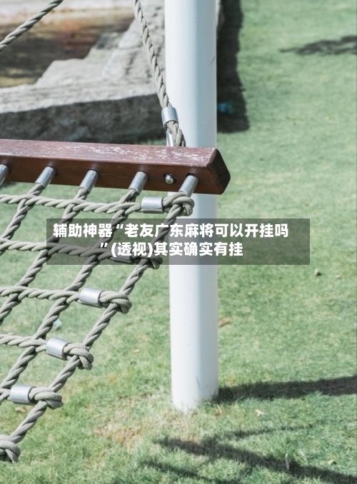 辅助神器“老友广东麻将可以开挂吗”(透视)其实确实有挂-第2张图片