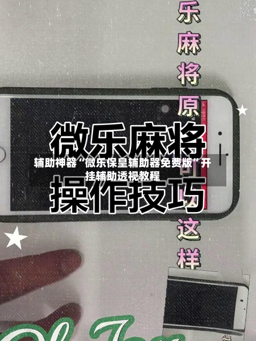 辅助神器“微乐保皇辅助器免费版”开挂辅助透视教程-第3张图片