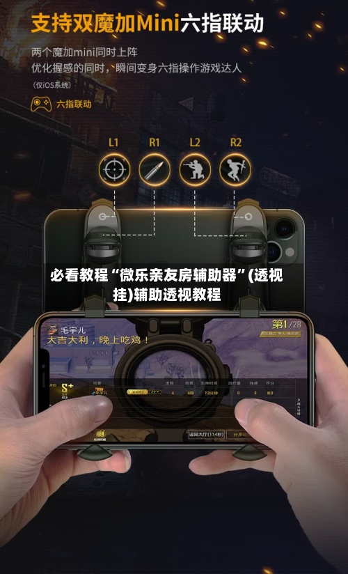 必看教程“微乐亲友房辅助器”(透视挂)辅助透视教程