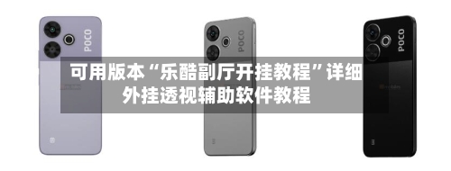 可用版本“乐酷副厅开挂教程	”详细外挂透视辅助软件教程-第2张图片