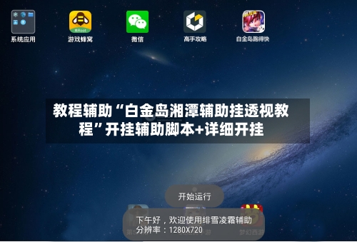 教程辅助“白金岛湘潭辅助挂透视教程	”开挂辅助脚本+详细开挂-第2张图片