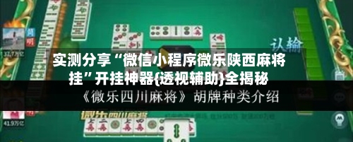 实测分享“微信小程序微乐陕西麻将挂”开挂神器{透视辅助}全揭秘-第2张图片
