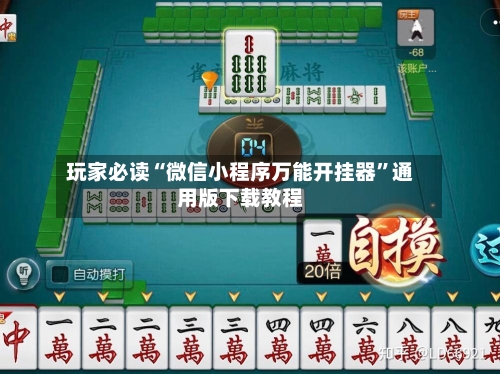 玩家必读“微信小程序万能开挂器	”通用版下载教程-第2张图片