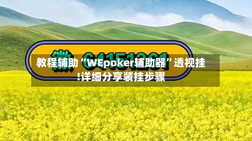 教程辅助“WEpoker辅助器	”透视挂!详细分享装挂步骤-第2张图片
