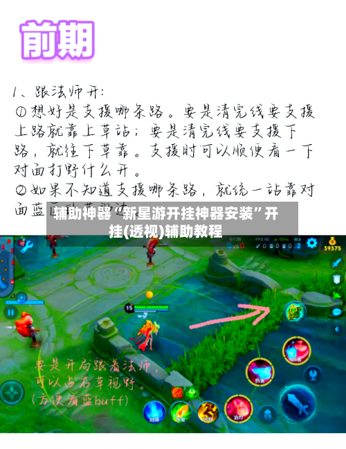 辅助神器“新星游开挂神器安装”开挂(透视)辅助教程-第2张图片