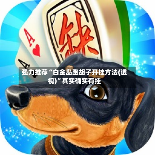 强力推荐“白金岛跑胡子开挂方法(透视)	”其实确实有挂-第2张图片