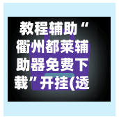 教程辅助“衢州都莱辅助器免费下载”开挂(透视)辅助-第2张图片