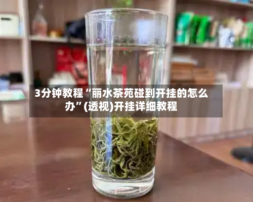 3分钟教程“丽水茶苑碰到开挂的怎么办”(透视)开挂详细教程-第2张图片