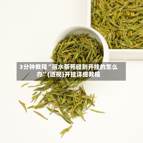 3分钟教程“丽水茶苑碰到开挂的怎么办”(透视)开挂详细教程-第3张图片