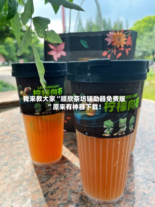 我来教大家“顺欣茶坊辅助器免费版”原来有神器下载！-第2张图片