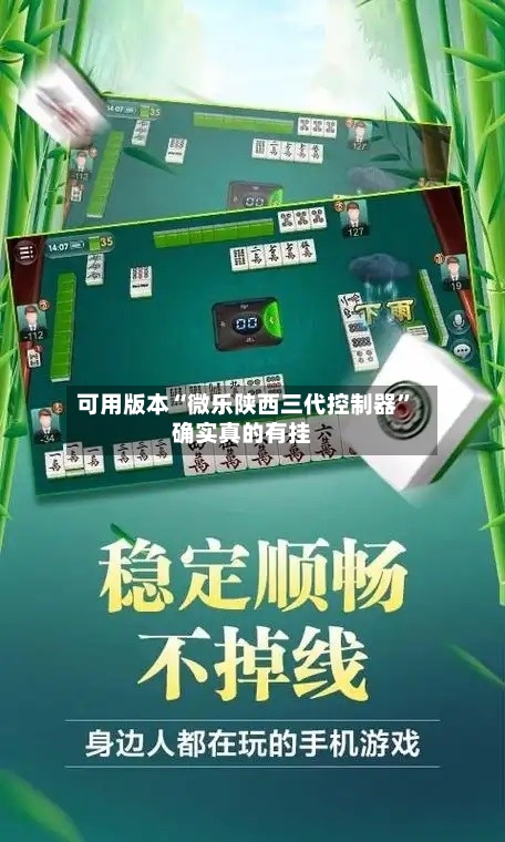可用版本“微乐陕西三代控制器”确实真的有挂-第3张图片