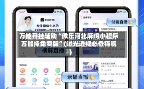 万能开挂辅助“微乐河北麻将小程序万能挂免费版”(曝光透视必备猫腻)-第2张图片