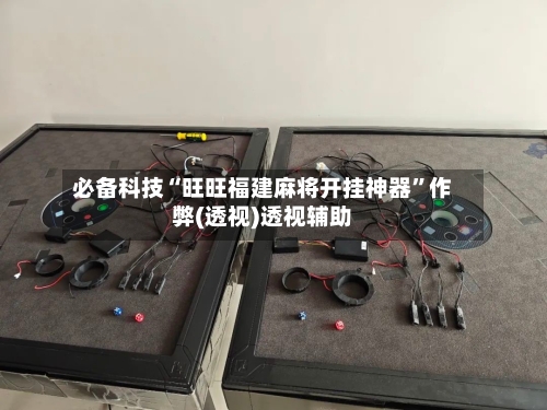 必备科技“旺旺福建麻将开挂神器”作弊(透视)透视辅助-第3张图片