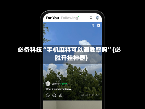 必备科技“手机麻将可以调胜率吗”(必胜开挂神器)-第3张图片
