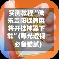 实测教程“微乐贵阳捉鸡麻将开挂神器下载”(曝光透视必备猫腻)-第3张图片