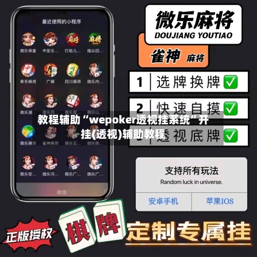 教程辅助“wepoker透视挂系统”开挂(透视)辅助教程-第3张图片
