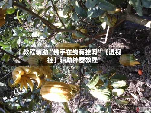 教程辅助“佛手在线有挂吗	”（透视挂）辅助神器教程-第2张图片