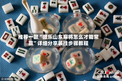 推荐一款“微乐山东麻将怎么才能常赢”详细分享装挂步骤教程