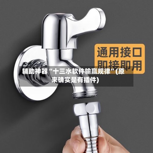 辅助神器“十三水软件输赢规律	”(原来确实是有插件)-第2张图片