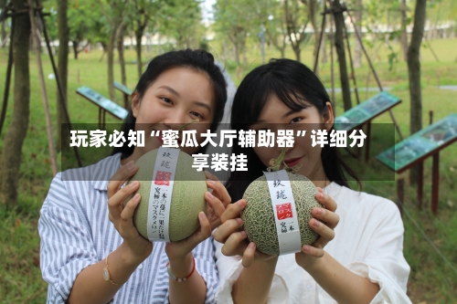 玩家必知“蜜瓜大厅辅助器”详细分享装挂