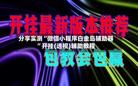 分享实测“微信小程序白金岛辅助器”开挂(透视)辅助教程-第3张图片