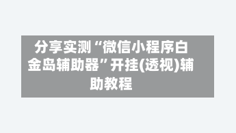 分享实测“微信小程序白金岛辅助器”开挂(透视)辅助教程-第2张图片