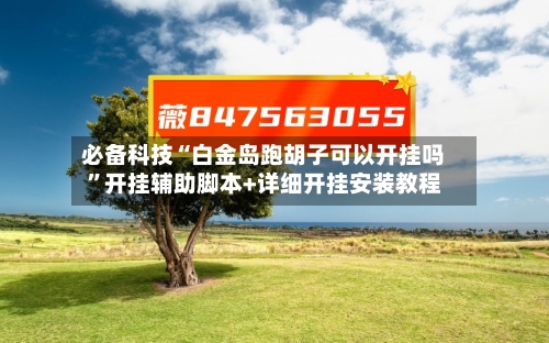 必备科技“白金岛跑胡子可以开挂吗	”开挂辅助脚本+详细开挂安装教程-第2张图片
