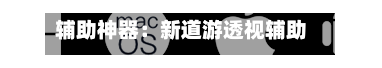 辅助神器：新道游透视辅助器	”(透视挂)辅助透视教程-第2张图片