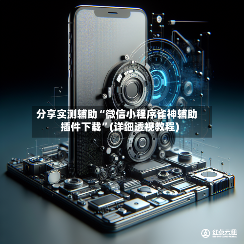 分享实测辅助“微信小程序雀神辅助插件下载”(详细透视教程)-第2张图片