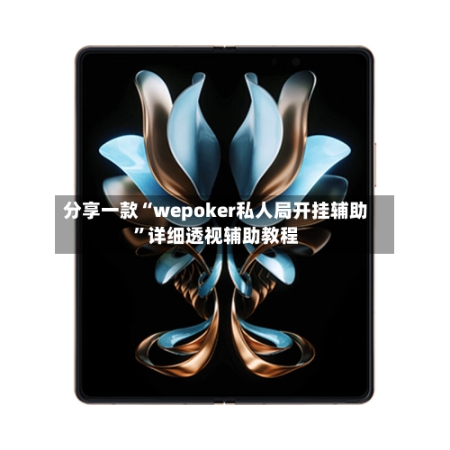 分享一款“wepoker私人局开挂辅助”详细透视辅助教程