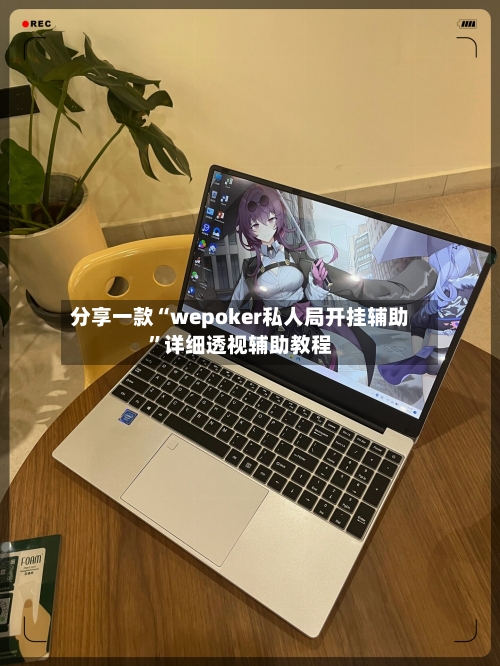 分享一款“wepoker私人局开挂辅助”详细透视辅助教程-第2张图片