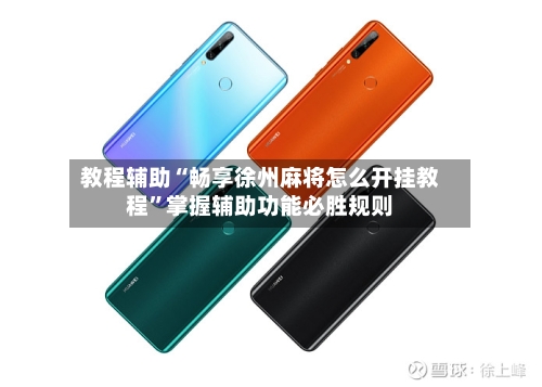 教程辅助“畅享徐州麻将怎么开挂教程”掌握辅助功能必胜规则-第2张图片