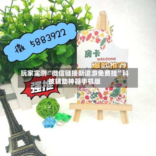 玩家实测“微信链接新道游免费挂”科技辅助神器手机版-第2张图片