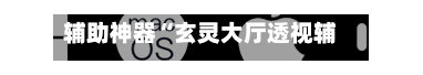 辅助神器“玄灵大厅透视辅助”(透视)开挂辅助脚本+详细开挂安装教程-第3张图片