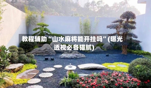 教程辅助“山水麻将能开挂吗”(曝光透视必备猫腻)-第2张图片