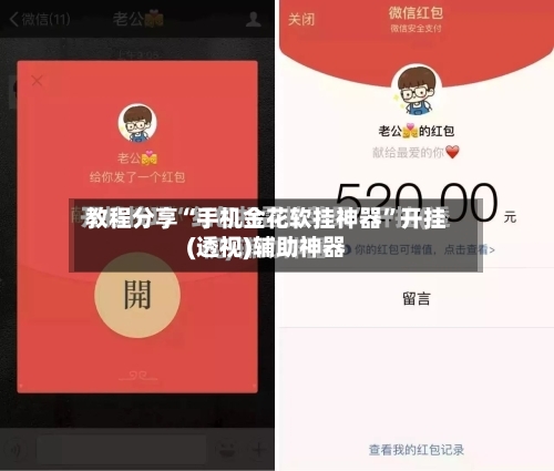 教程分享“手机金花软挂神器	”开挂(透视)辅助神器-第2张图片