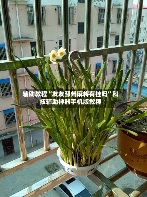 辅助教程“友友邳州麻将有挂吗”科技辅助神器手机版教程-第2张图片