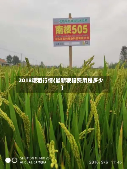 2018粳稻行情(最新粳稻费用是多少)