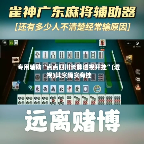 专用辅助“点点四川长牌透视开挂”(透视)其实确实有挂-第3张图片