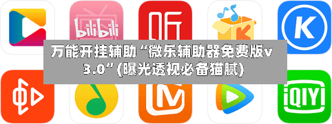 万能开挂辅助“微乐辅助器免费版v3.0”(曝光透视必备猫腻)-第2张图片