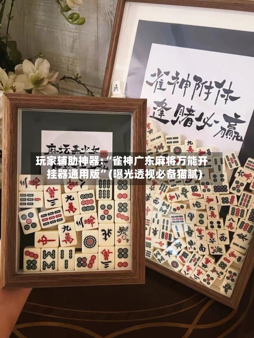 玩家辅助神器:“雀神广东麻将万能开挂器通用版”(曝光透视必备猫腻)-第2张图片