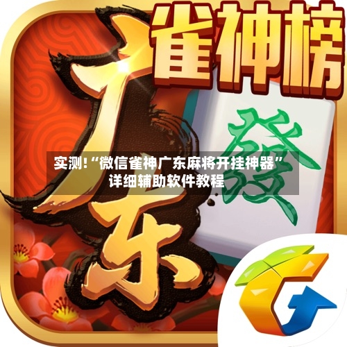 实测!“微信雀神广东麻将开挂神器”详细辅助软件教程-第3张图片