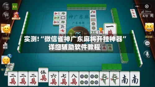 实测!“微信雀神广东麻将开挂神器”详细辅助软件教程-第2张图片