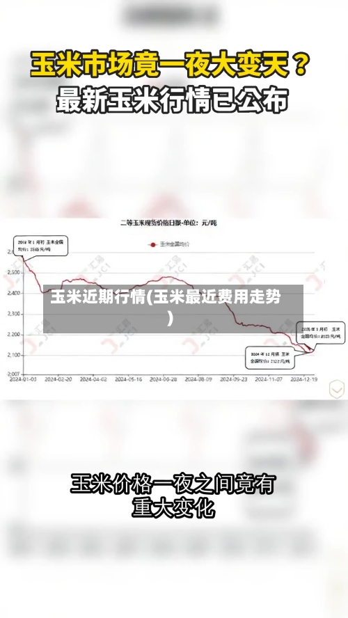 玉米近期行情(玉米最近费用走势)-第3张图片