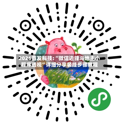 2026首发科技:“微信边锋斗地主小程序透视”详细分享装挂步骤教程-第2张图片