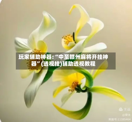 玩家辅助神器:“中至赣州麻将开挂神器	”(透视挂)辅助透视教程-第2张图片
