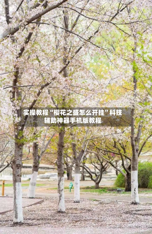 实操教程“樱花之盛怎么开挂”科技辅助神器手机版教程-第3张图片
