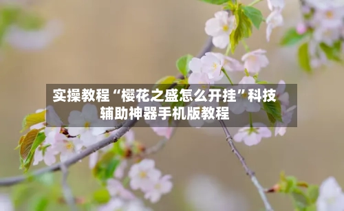 实操教程“樱花之盛怎么开挂”科技辅助神器手机版教程-第2张图片