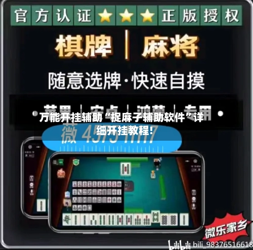 万能开挂辅助“捉麻子辅助软件”详细开挂教程!-第3张图片